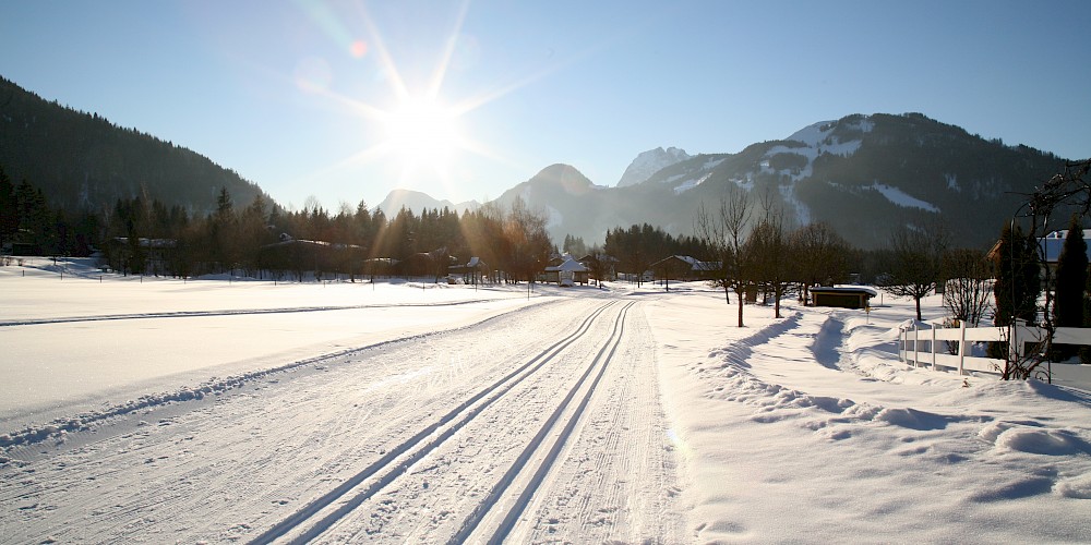 Cross Country Skiing