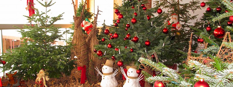 Weihnachten & Silvester