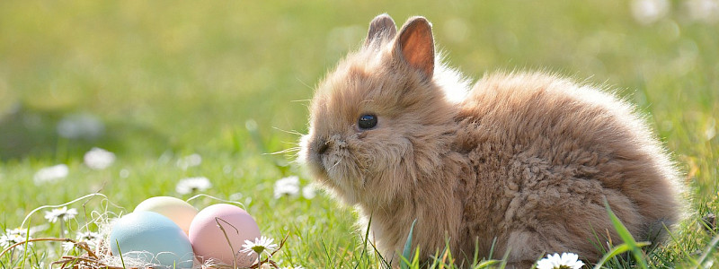 Ostertage am Wilden Kaiser